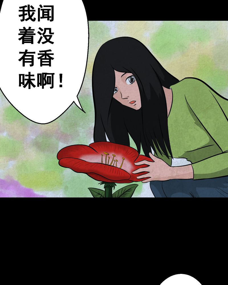 第45章：雷公花-今生（上）24