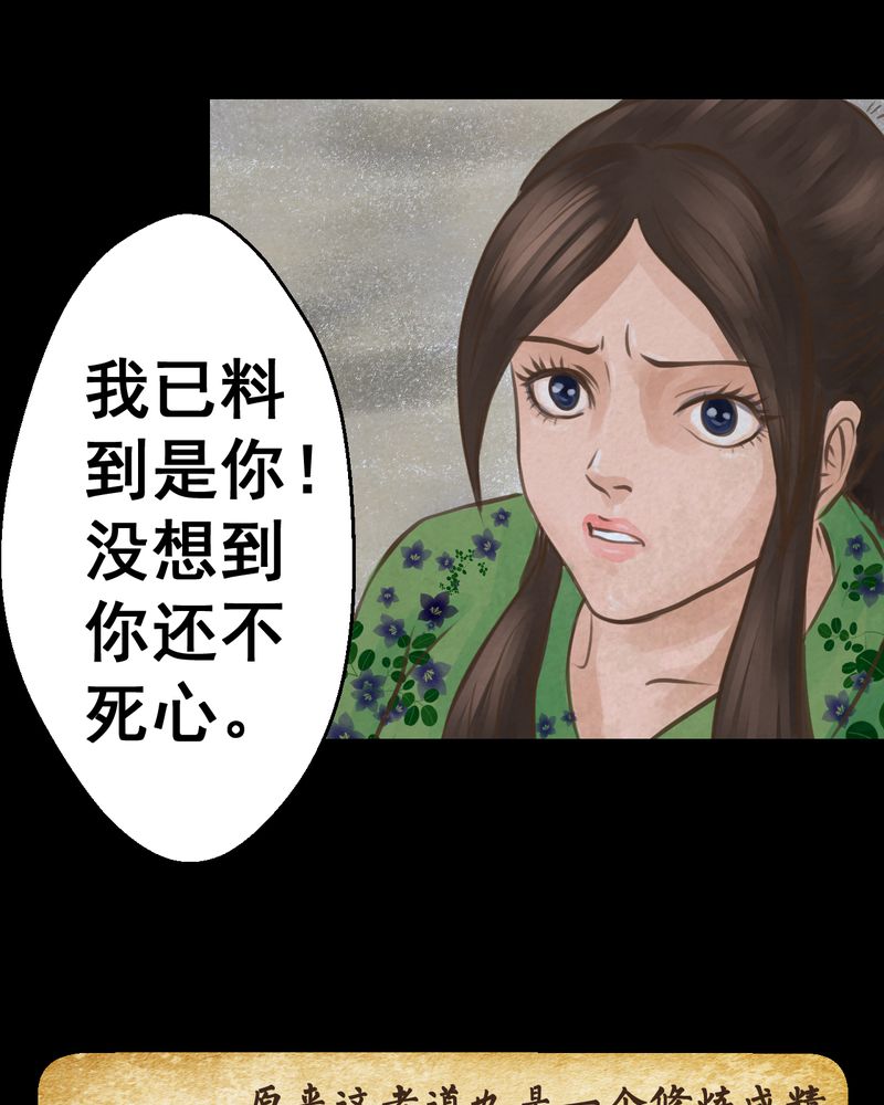 第48章：雷公花-前世（下）34