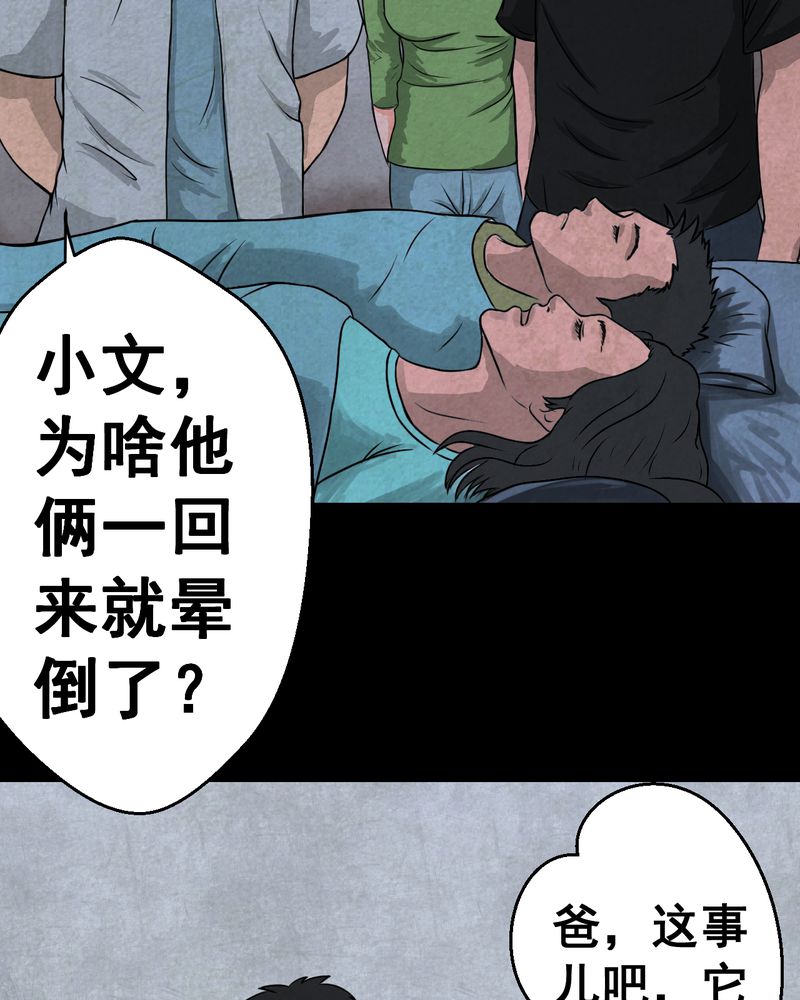 第46章：雷公花-今生（下）15