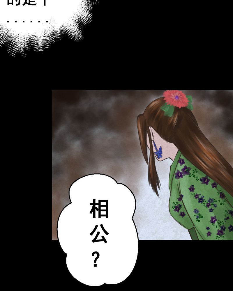 第48章：雷公花-前世（下）9