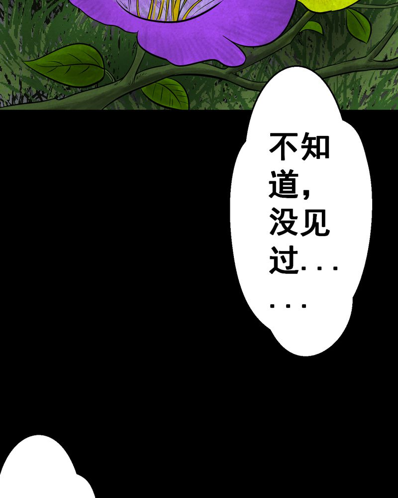 第45章：雷公花-今生（上）21