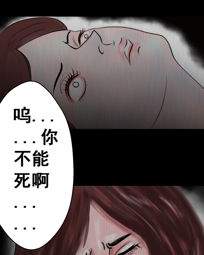 第25章：双生花（结局）58