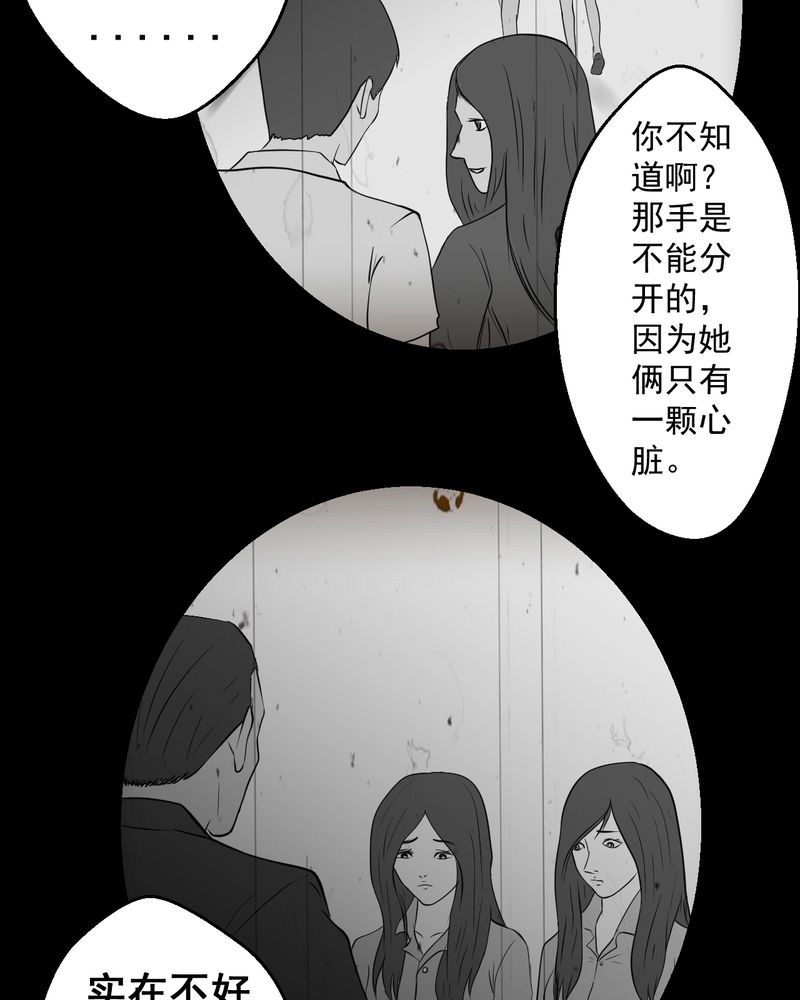 第25章：双生花（结局）26