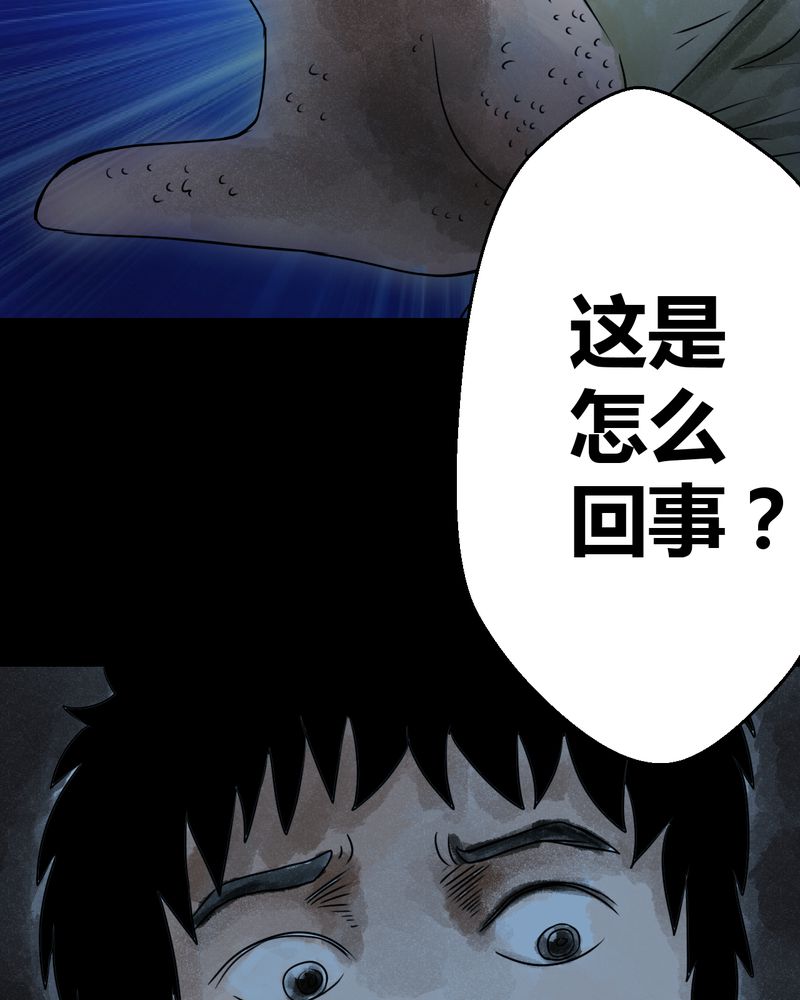 第37章：肺鱼（下）31