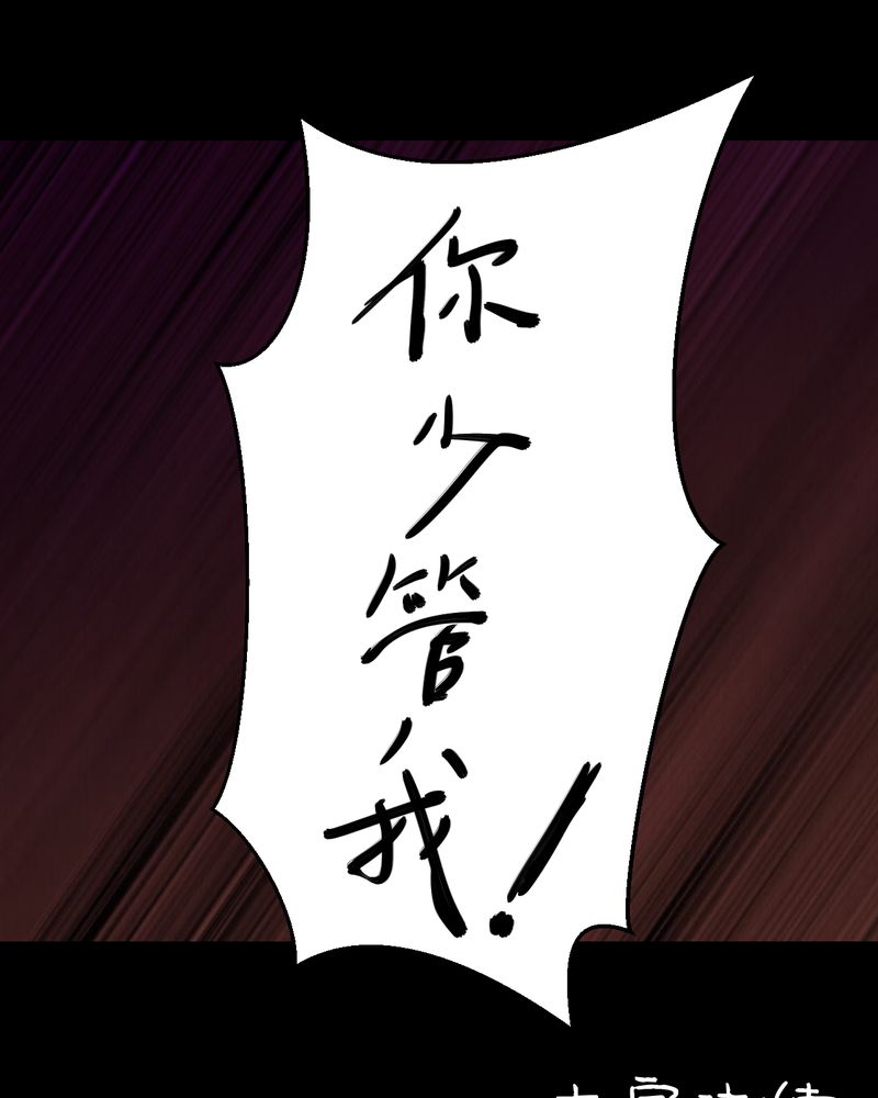 第22章：双生花（上）23