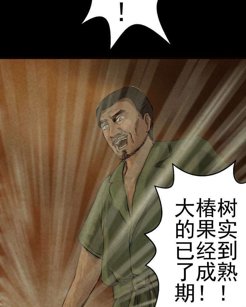 第9章：长生树（下）23