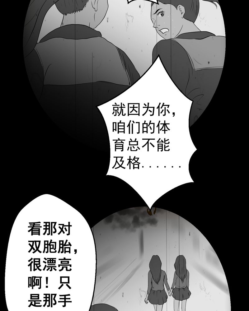 第25章：双生花（结局）25
