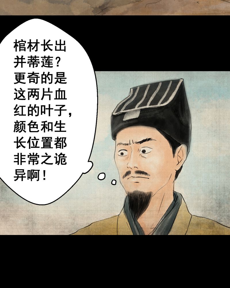 第29章：并蒂莲（一）8