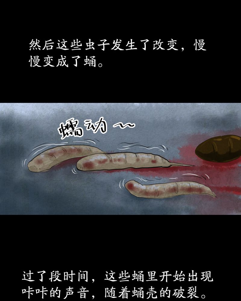 第57章：大结局-苍蝇（下）29