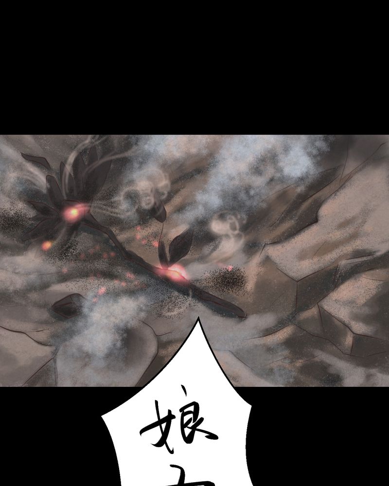 第48章：雷公花-前世（下）53