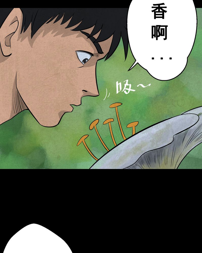 第45章：雷公花-今生（上）23