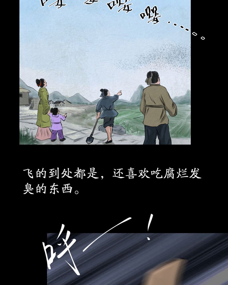 第57章：大结局-苍蝇（下）34