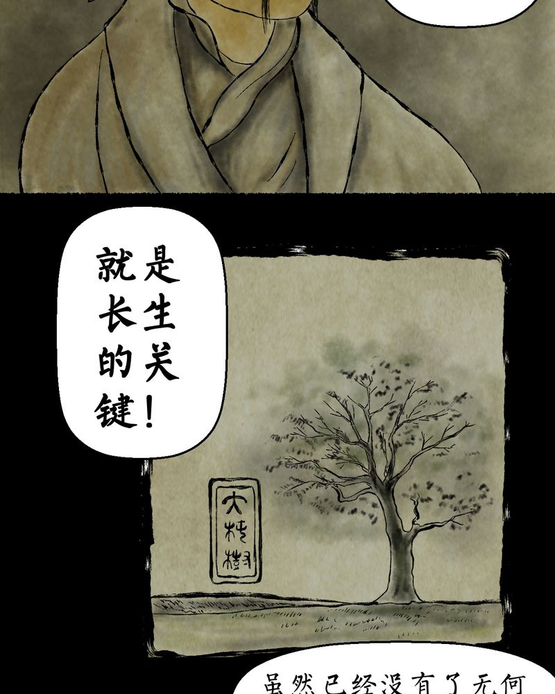 第9章：长生树（下）9