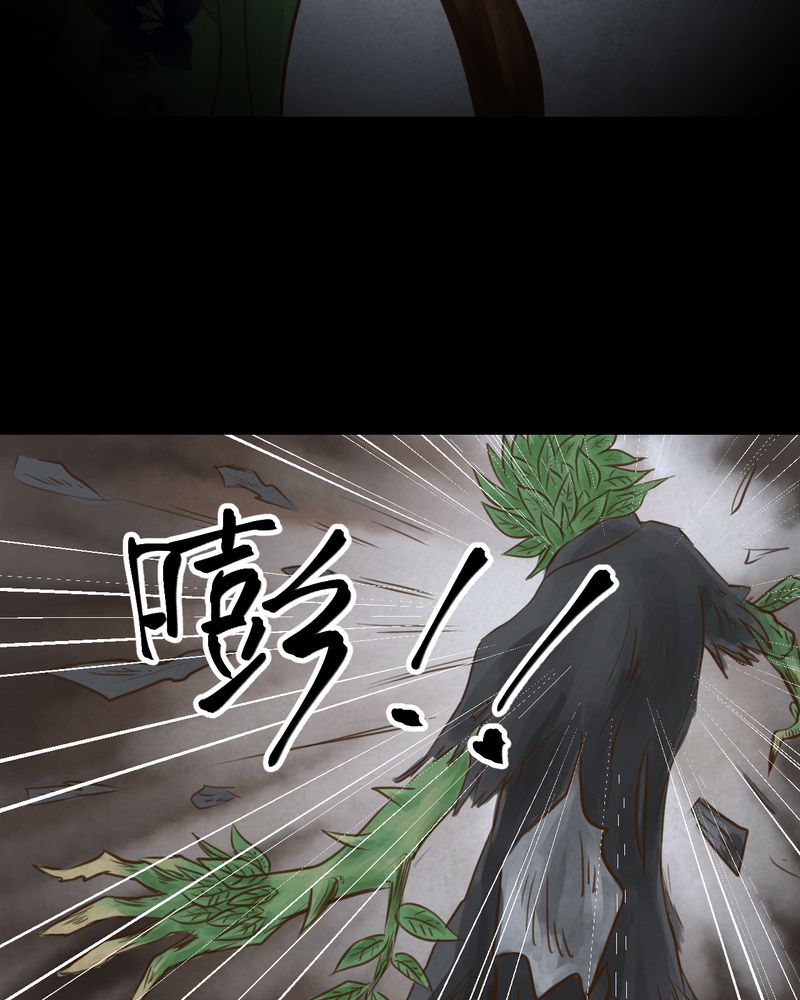 第48章：雷公花-前世（下）44