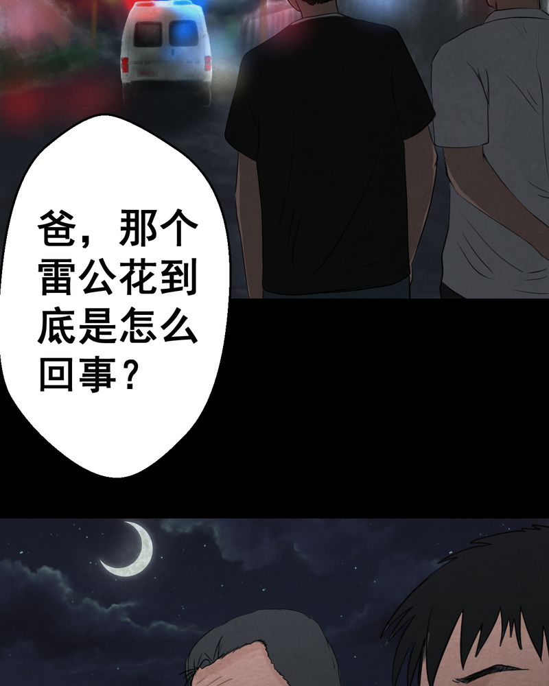 第46章：雷公花-今生（下）41