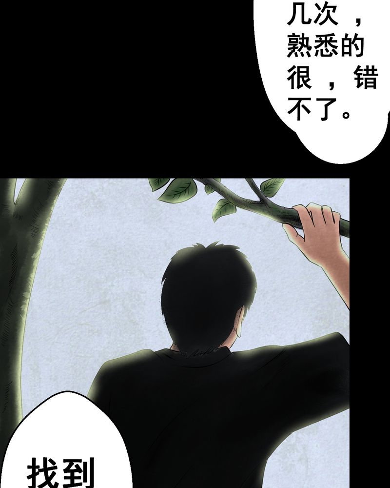 第45章：雷公花-今生（上）6