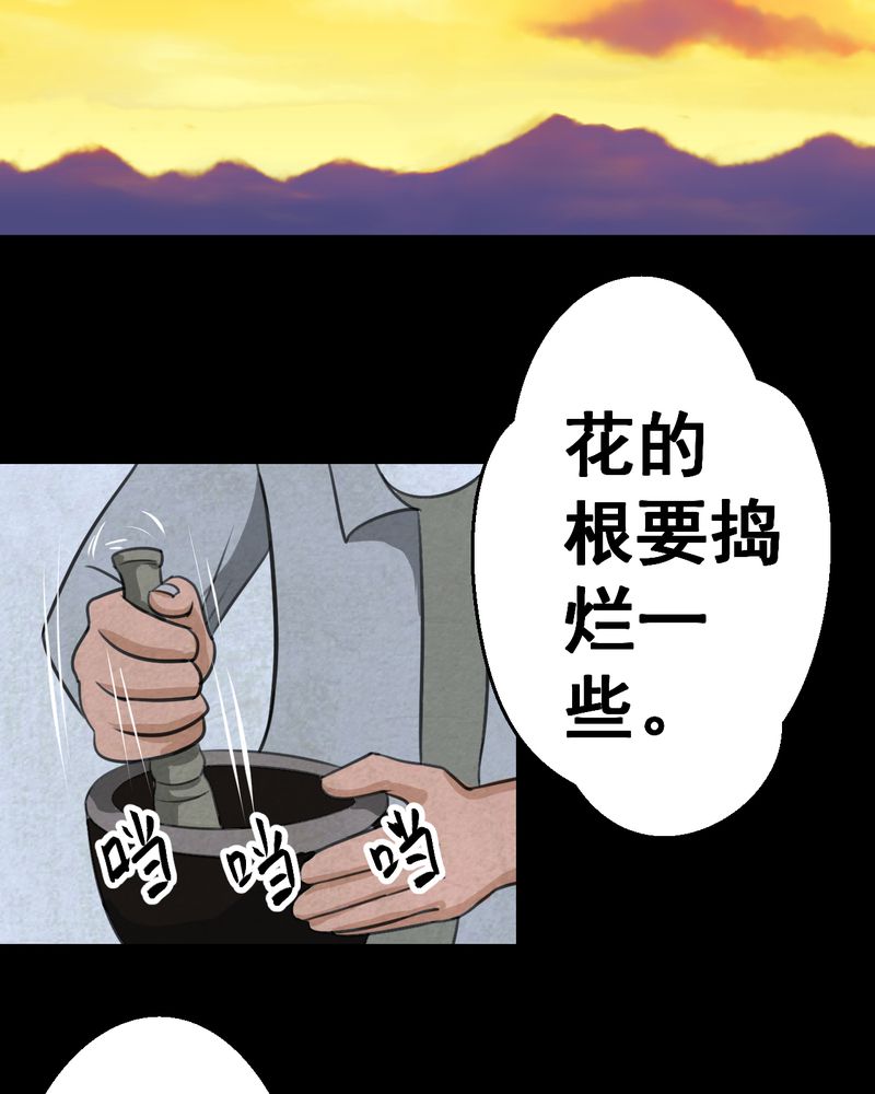 第46章：雷公花-今生（下）25