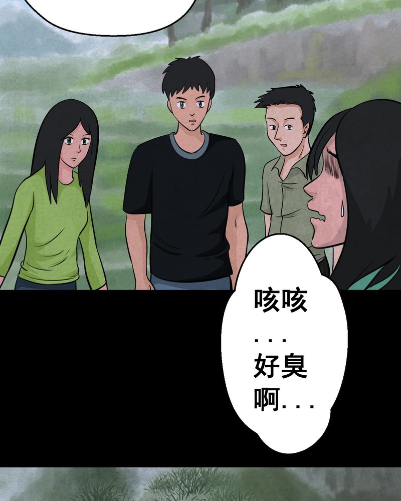 第45章：雷公花-今生（上）28