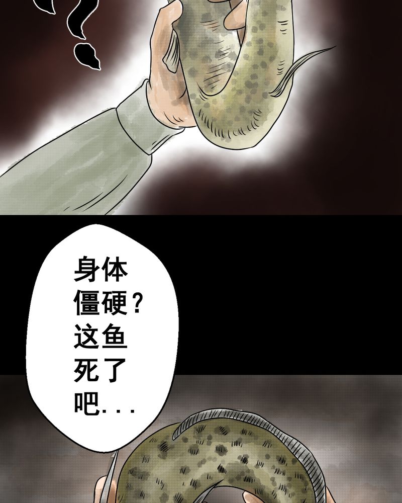 第36章：肺鱼（上）26