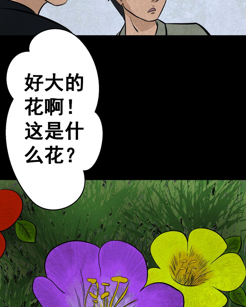第45章：雷公花-今生（上）20