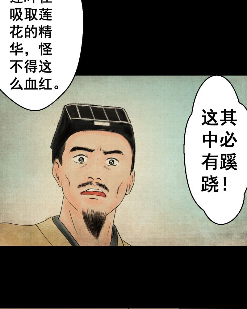 第29章：并蒂莲（一）12