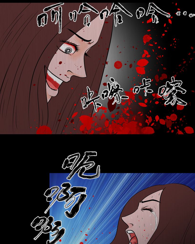 第25章：双生花（结局）48