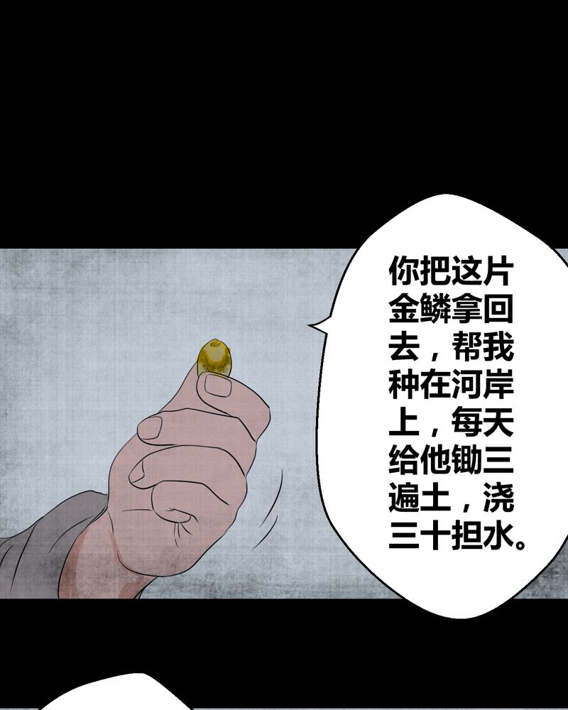 第19章：金鳞劫（上）22