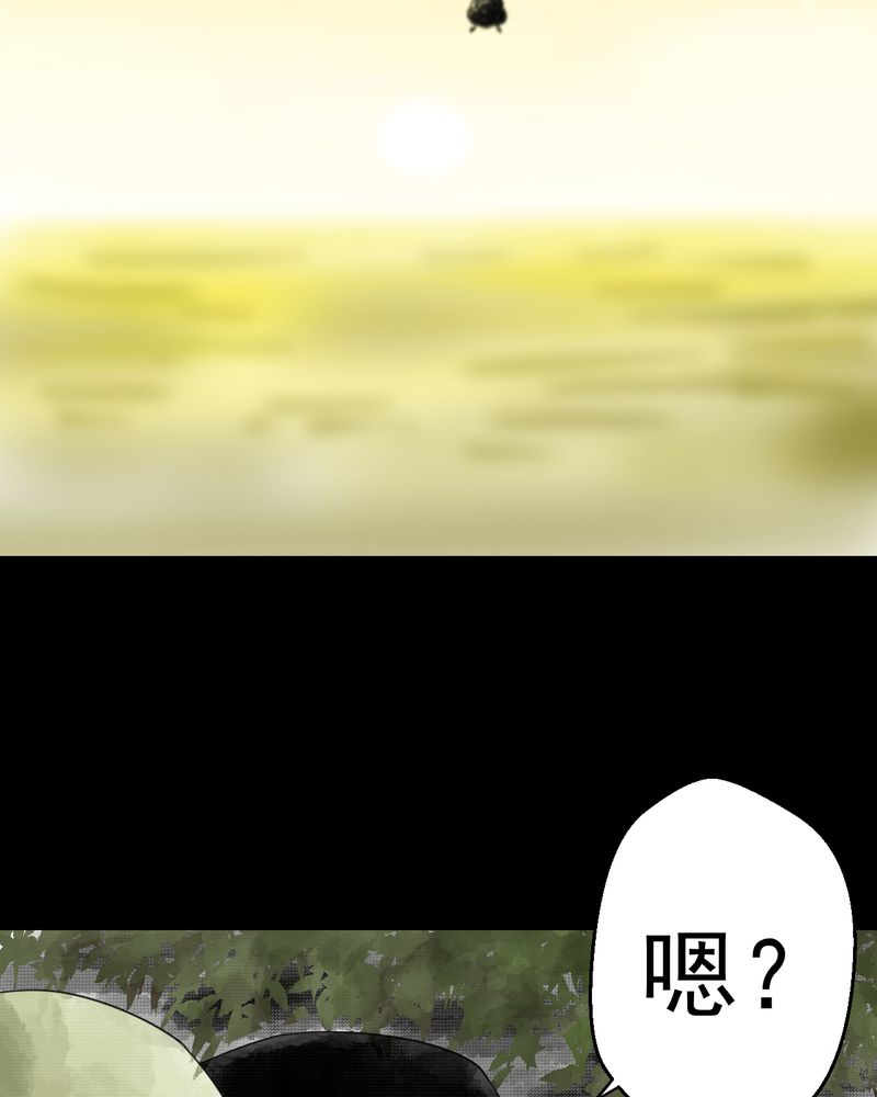 第37章：肺鱼（下）45