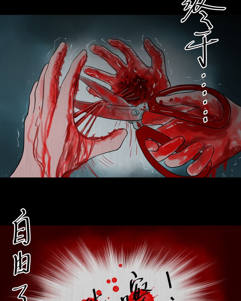 第25章：双生花（结局）52