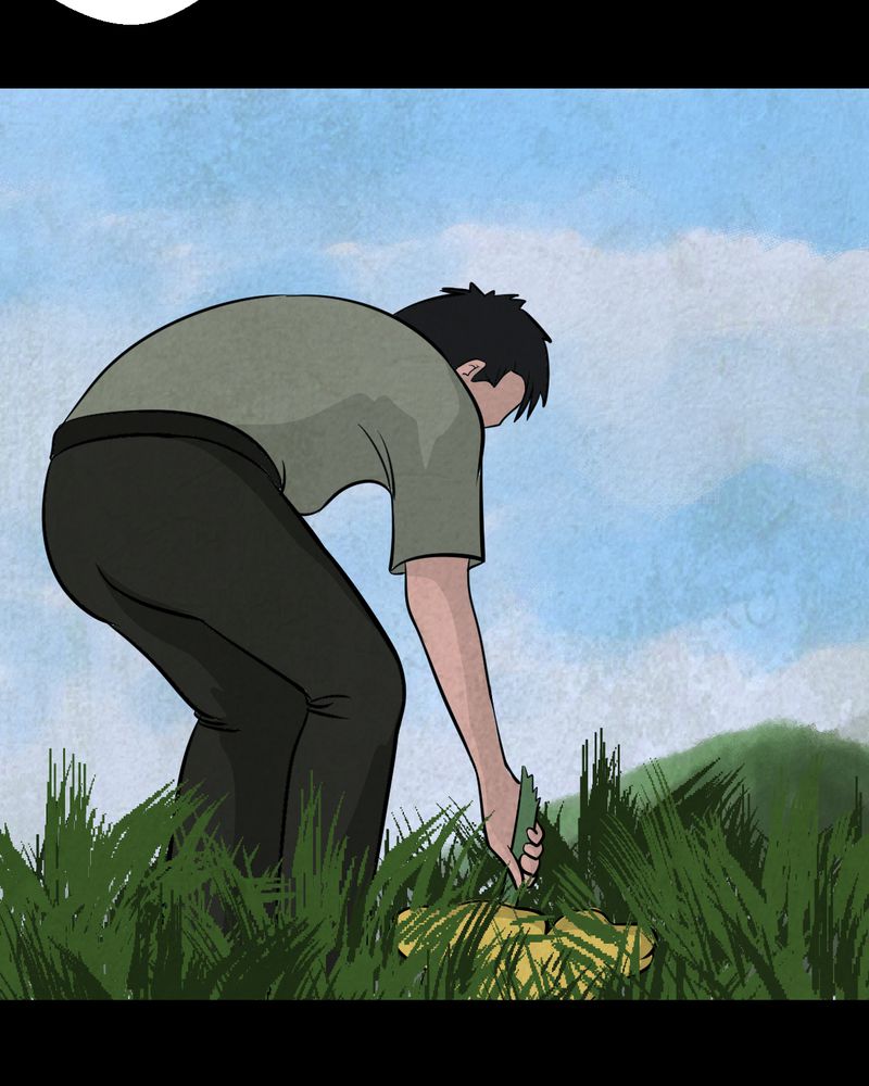 第45章：雷公花-今生（上）30