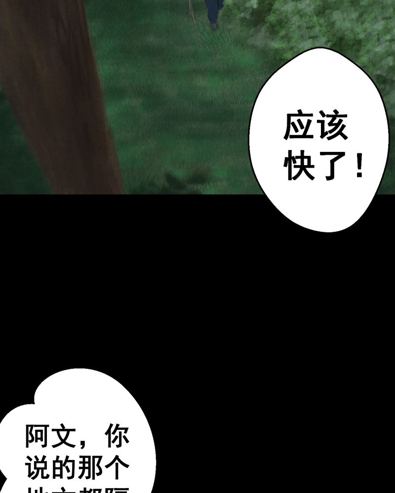 第45章：雷公花-今生（上）4