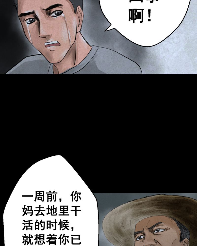 第50章：归（中）35