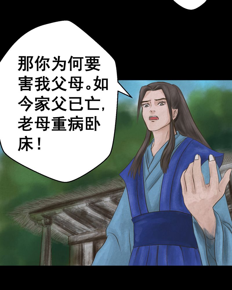 第48章：雷公花-前世（下）38