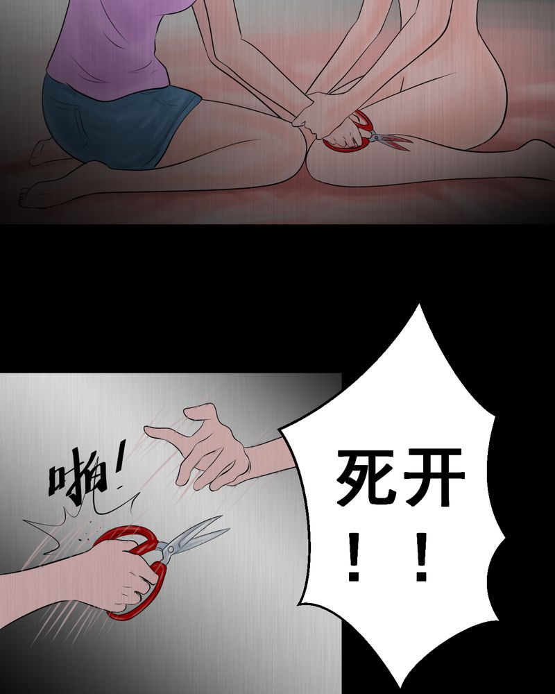 第25章：双生花（结局）45