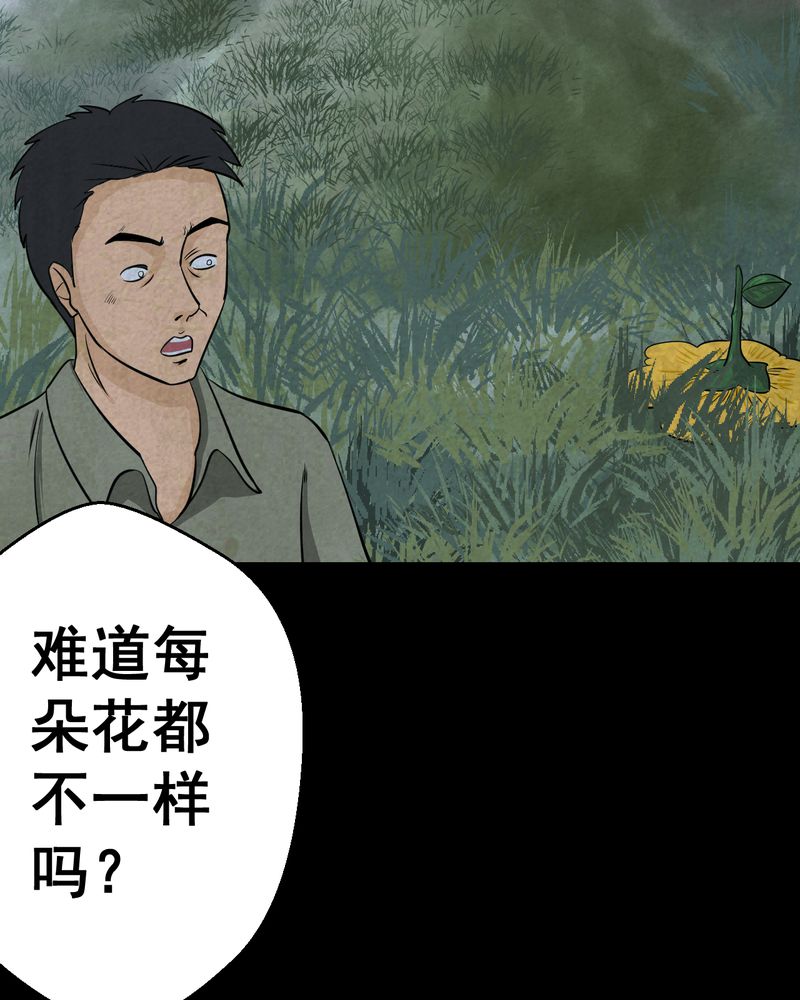 第45章：雷公花-今生（上）29