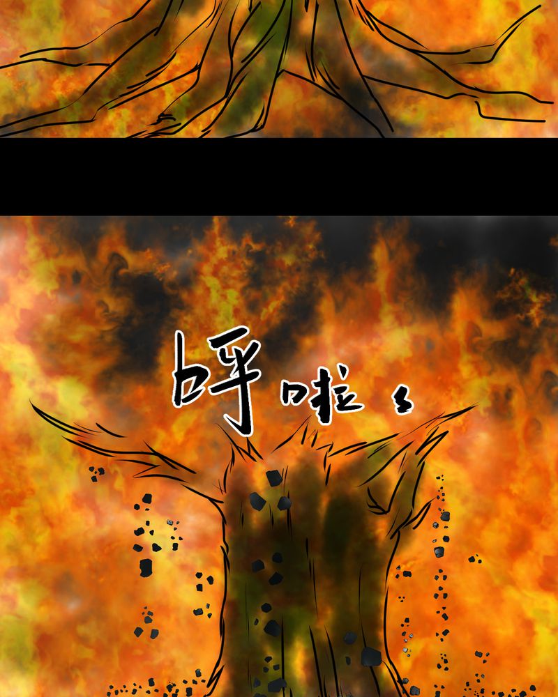 第9章：长生树（下）60