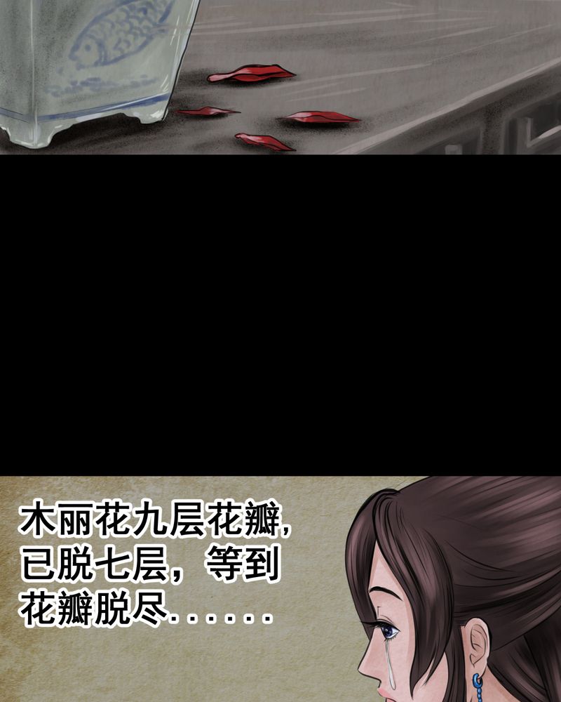 第47章：雷公花-前世（上）32