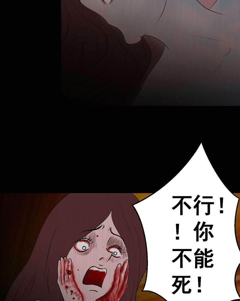 第25章：双生花（结局）56