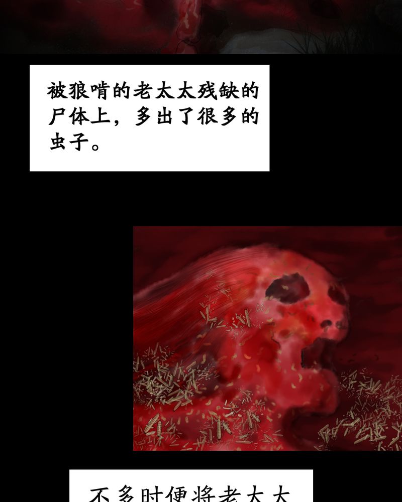 第57章：大结局-苍蝇（下）9