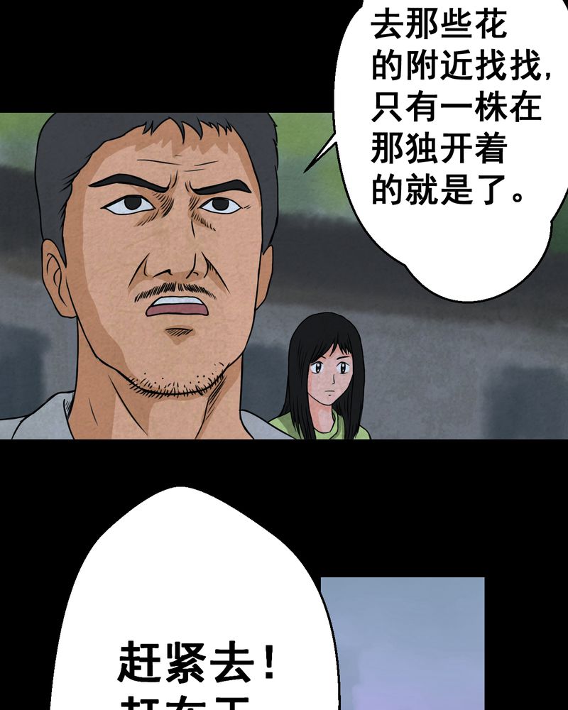 第46章：雷公花-今生（下）23
