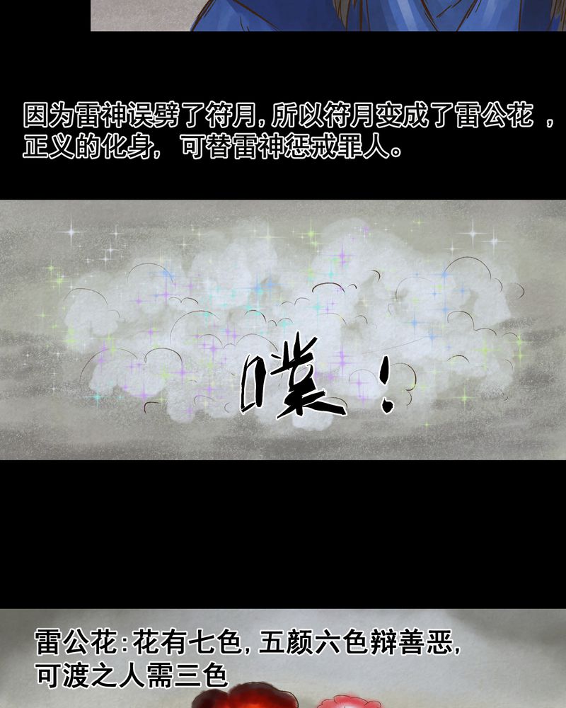 第48章：雷公花-前世（下）63