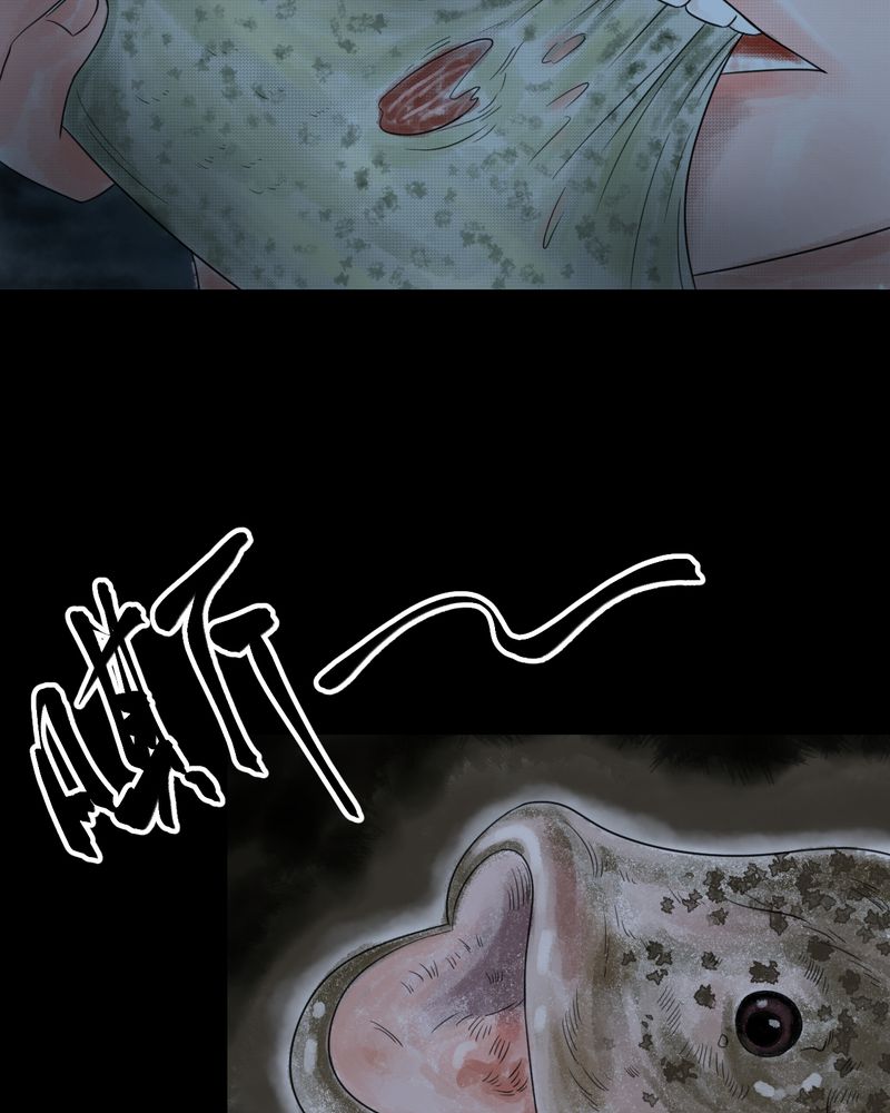 第37章：肺鱼（下）2
