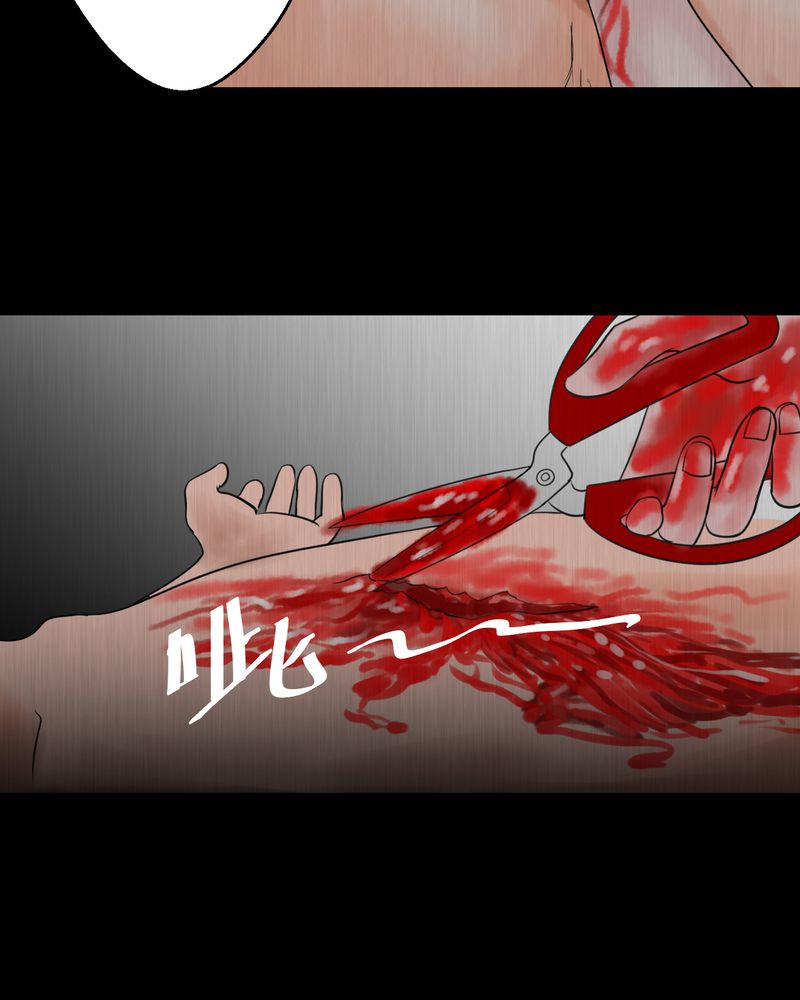 第25章：双生花（结局）65