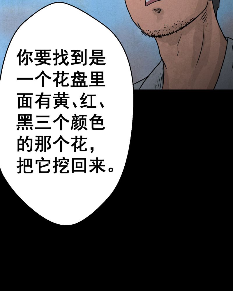 第46章：雷公花-今生（下）20