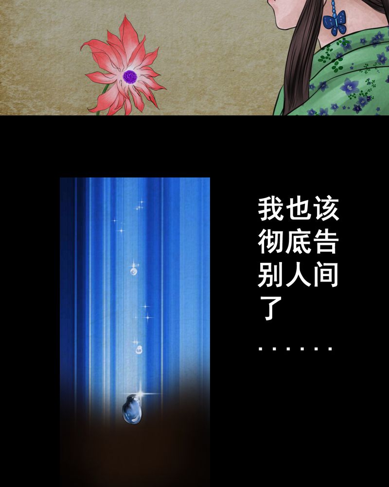 第47章：雷公花-前世（上）33