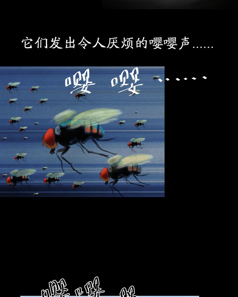 第57章：大结局-苍蝇（下）33