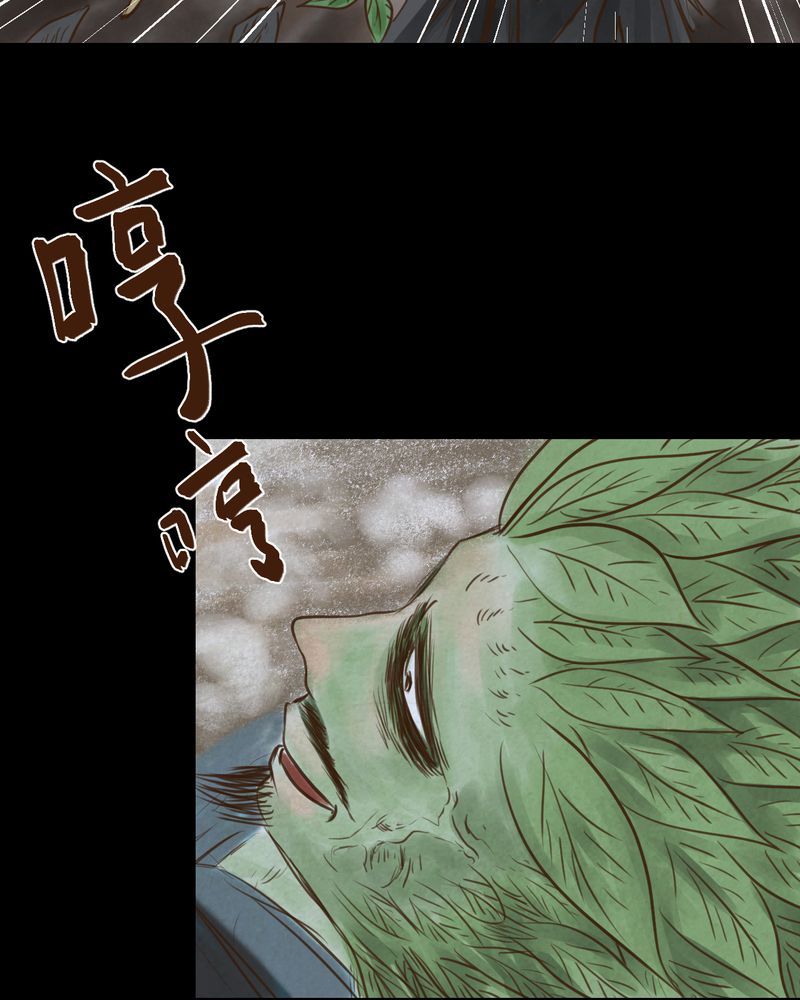 第48章：雷公花-前世（下）45