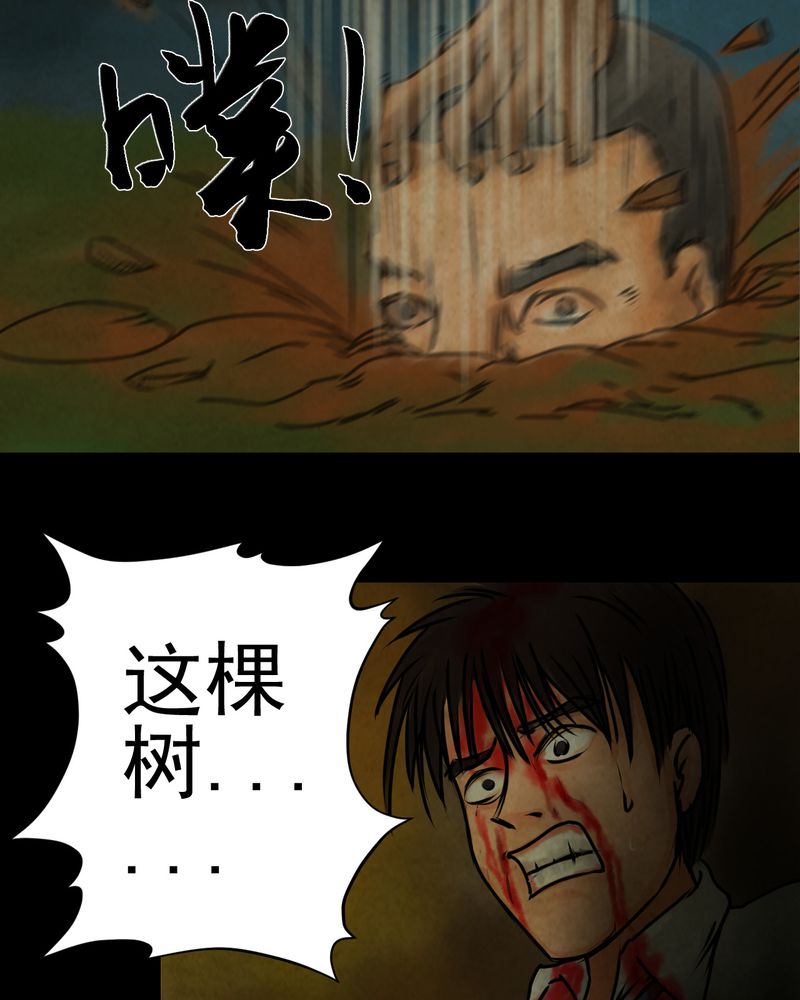 第9章：长生树（下）52