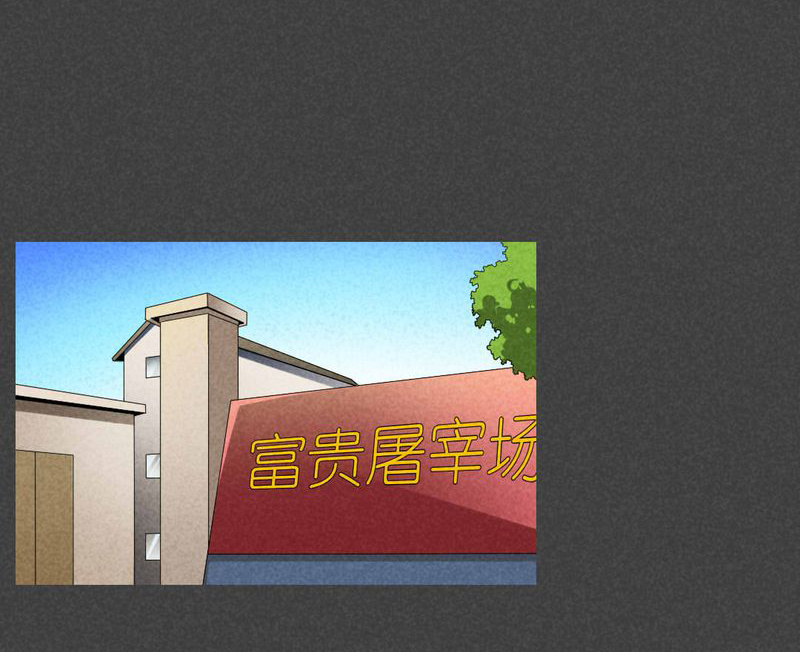 第41章：冥婚（三）17
