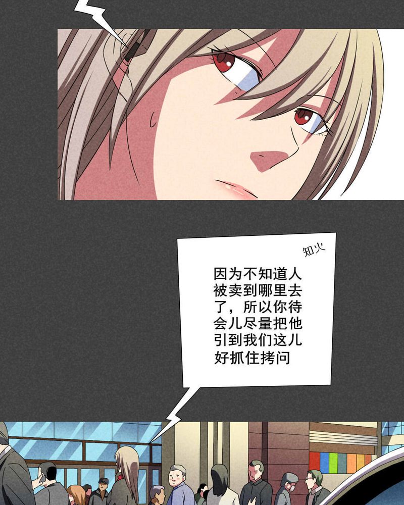 第41章：冥婚（三）6